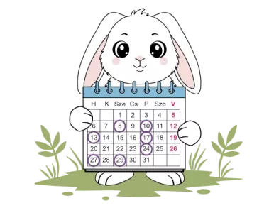 Rugalmas beiratkozás