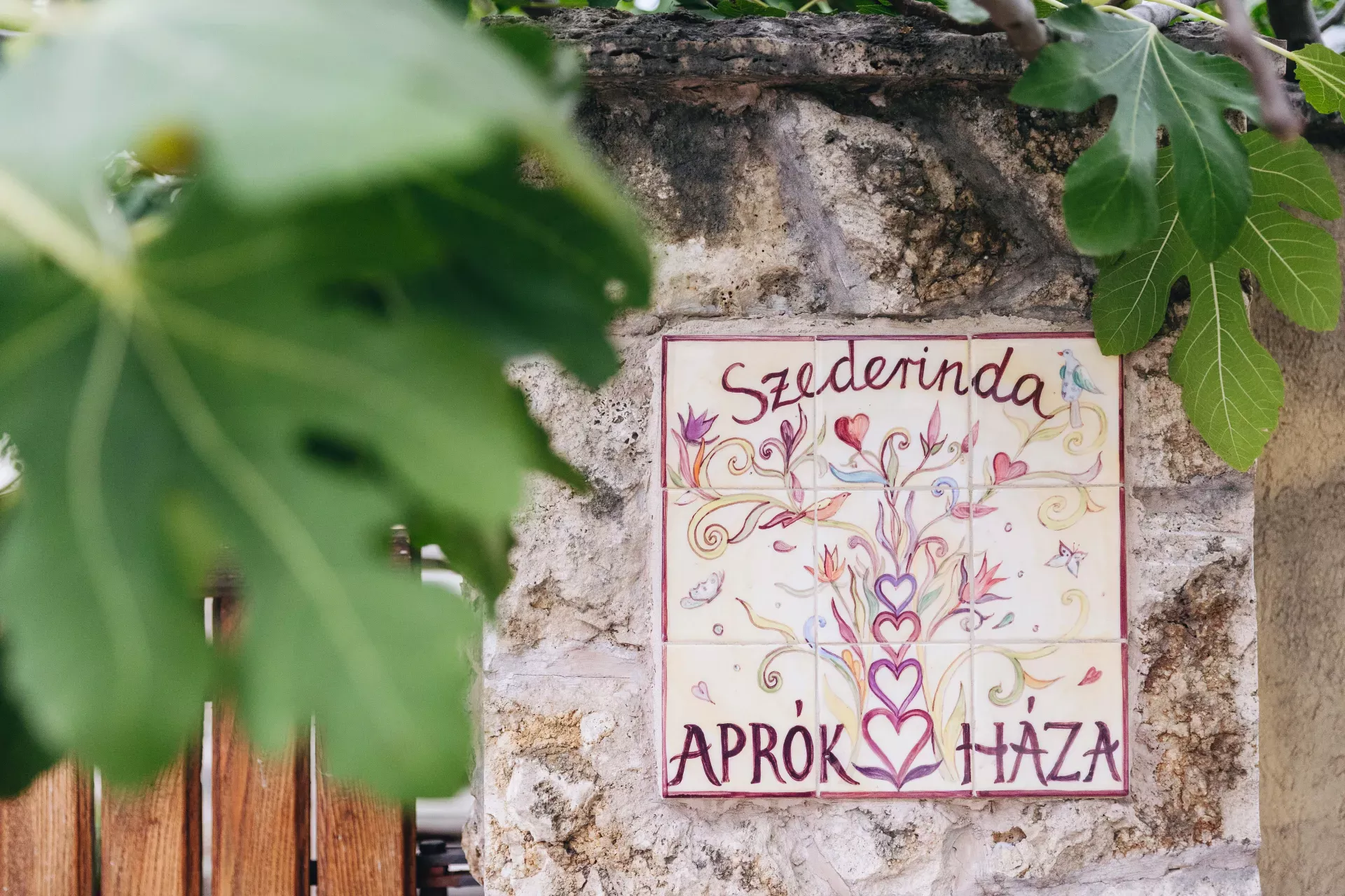 Szederinda bölcsőde